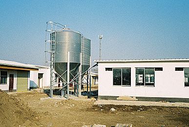 《幻兽帕鲁》确定联动《泰拉瑞亚》预定2025年上线